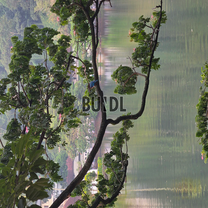 Product view 1