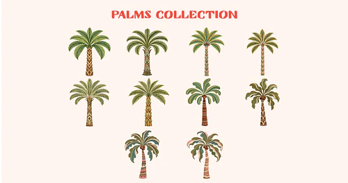 Whimsical Palms & Frames Collection