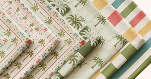 Whimsical Palms & Frames Collection