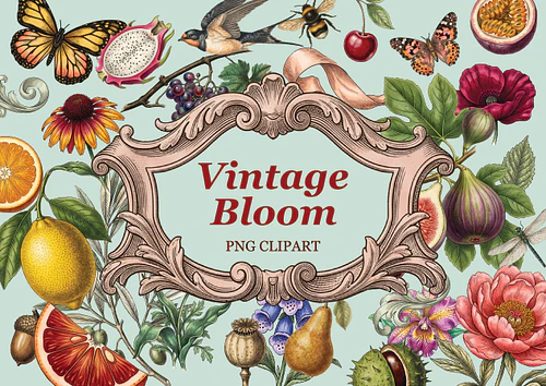 Vintage Bloom Clipart