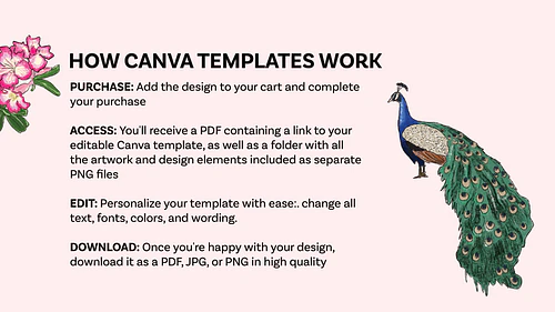 UAE National Day Canva Templates & Heritage Illustration Pack