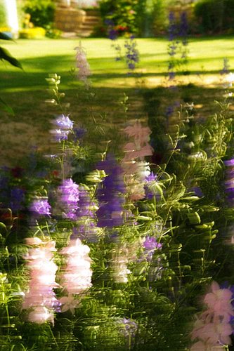 A Garden in Motion