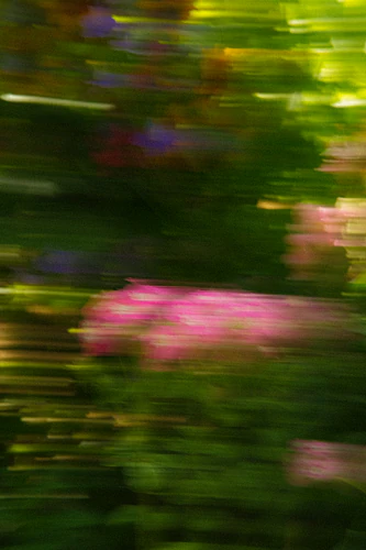 A Garden in Motion