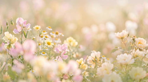 Dreamy Blurry Floral Backgrounds – Soft Airy Botanical Textures Pack – Delicate Floral Background
