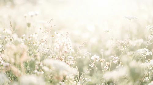 Dreamy Blurry Floral Backgrounds – Soft Airy Botanical Textures Pack – Delicate Floral Background