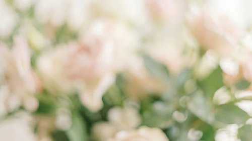 Blooming Flowers Background – Dreamy Blurry Floral Background – Soft Pastel Abstract Botanical Texture