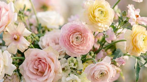 Dreamy Blurry Floral Backgrounds – Soft Airy Botanical Textures Pack – Delicate Floral Background