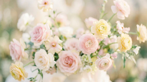 Dreamy Blurry Floral Backgrounds – Soft Airy Botanical Textures Pack – Delicate Floral Background