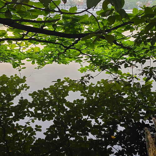 Green in habitat