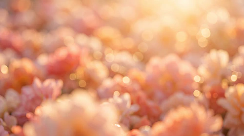 Blooming Flowers Background – Dreamy Blurry Floral Background – Soft Pastel Abstract Botanical Texture