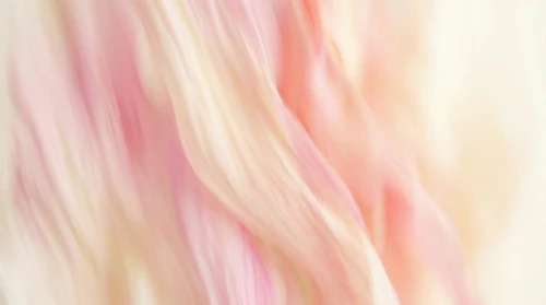 Blooming Flowers Background – Dreamy Blurry Floral Background – Soft Pastel Abstract Botanical Texture