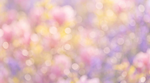 Blooming Flowers Background – Dreamy Blurry Floral Background – Soft Pastel Abstract Botanical Texture