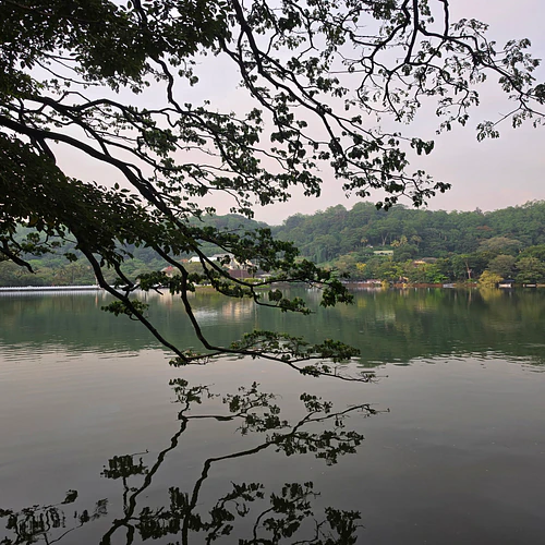 Green in habitat